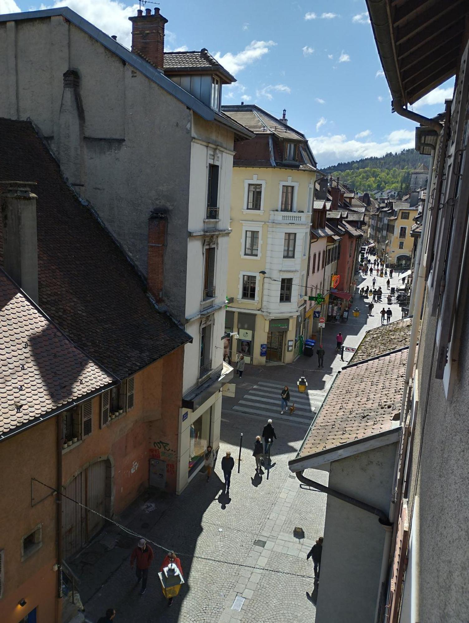 Cosy Flat Annecy Historical Center Apartment Luaran gambar